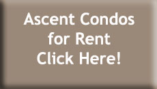 Ascent Condo Rentals Search Button